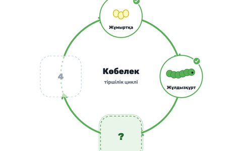 Игра «Жизненный цикл» — как она выглядит на доске